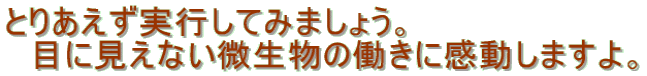 とりあえず実行して体験してみましょう。 　微生物の働きに感動しますよ。